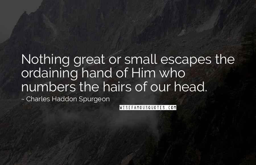 Charles Haddon Spurgeon Quotes: Nothing great or small escapes the ordaining hand of Him who numbers the hairs of our head.