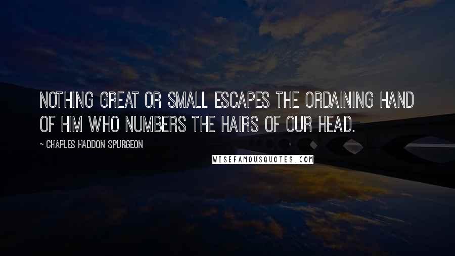 Charles Haddon Spurgeon Quotes: Nothing great or small escapes the ordaining hand of Him who numbers the hairs of our head.