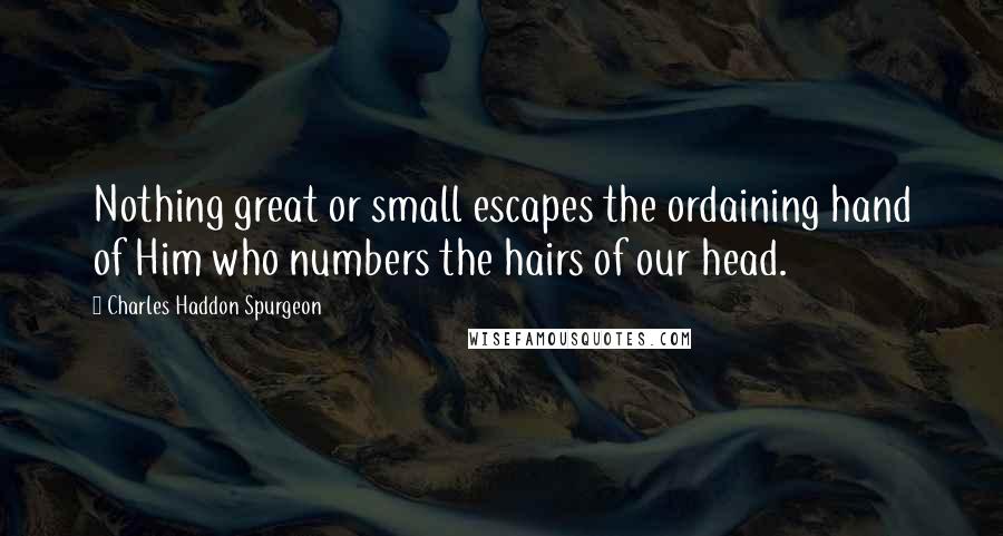 Charles Haddon Spurgeon Quotes: Nothing great or small escapes the ordaining hand of Him who numbers the hairs of our head.