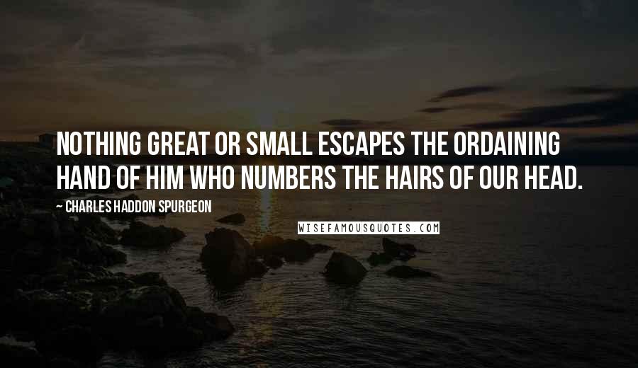 Charles Haddon Spurgeon Quotes: Nothing great or small escapes the ordaining hand of Him who numbers the hairs of our head.