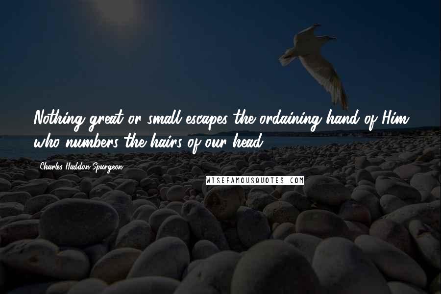 Charles Haddon Spurgeon Quotes: Nothing great or small escapes the ordaining hand of Him who numbers the hairs of our head.