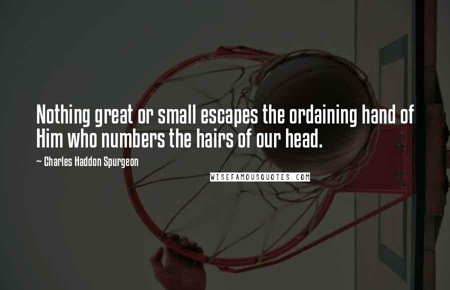Charles Haddon Spurgeon Quotes: Nothing great or small escapes the ordaining hand of Him who numbers the hairs of our head.