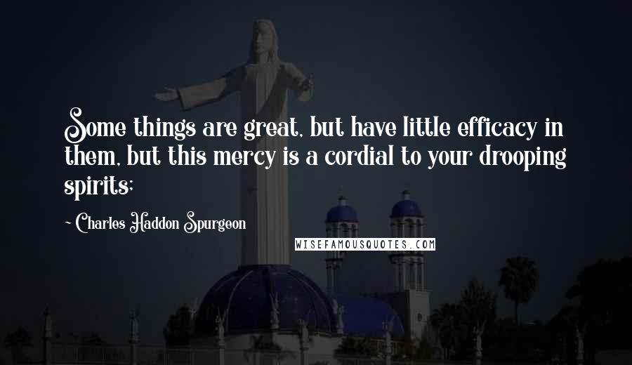 Charles Haddon Spurgeon Quotes: Some things are great, but have little efficacy in them, but this mercy is a cordial to your drooping spirits;