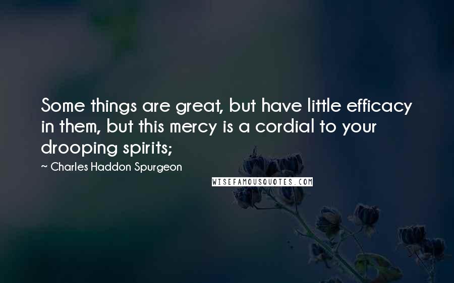 Charles Haddon Spurgeon Quotes: Some things are great, but have little efficacy in them, but this mercy is a cordial to your drooping spirits;