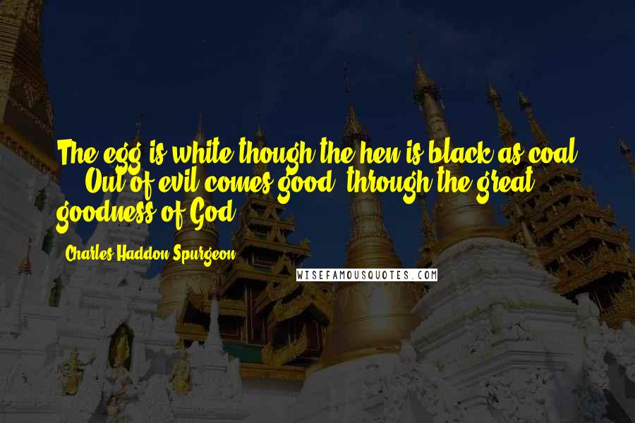 Charles Haddon Spurgeon Quotes: The egg is white though the hen is black as coal ... Out of evil comes good, through the great goodness of God.