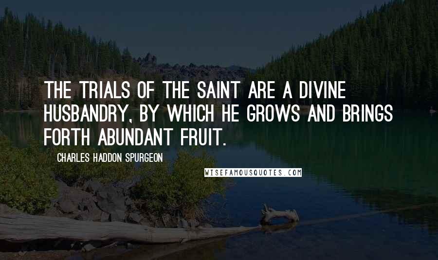 Charles Haddon Spurgeon Quotes: The trials of the saint are a divine husbandry, by which he grows and brings forth abundant fruit.