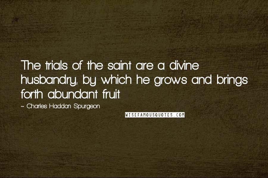 Charles Haddon Spurgeon Quotes: The trials of the saint are a divine husbandry, by which he grows and brings forth abundant fruit.