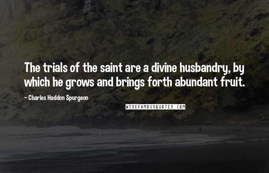 Charles Haddon Spurgeon Quotes: The trials of the saint are a divine husbandry, by which he grows and brings forth abundant fruit.