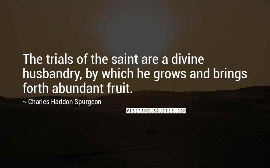 Charles Haddon Spurgeon Quotes: The trials of the saint are a divine husbandry, by which he grows and brings forth abundant fruit.