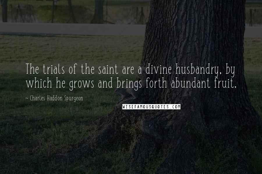 Charles Haddon Spurgeon Quotes: The trials of the saint are a divine husbandry, by which he grows and brings forth abundant fruit.