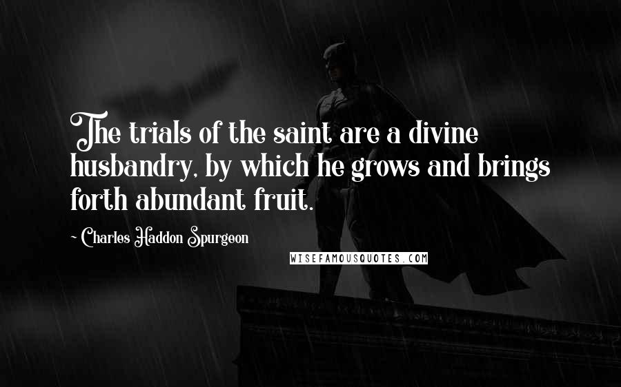 Charles Haddon Spurgeon Quotes: The trials of the saint are a divine husbandry, by which he grows and brings forth abundant fruit.