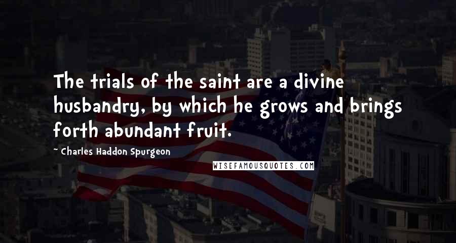 Charles Haddon Spurgeon Quotes: The trials of the saint are a divine husbandry, by which he grows and brings forth abundant fruit.