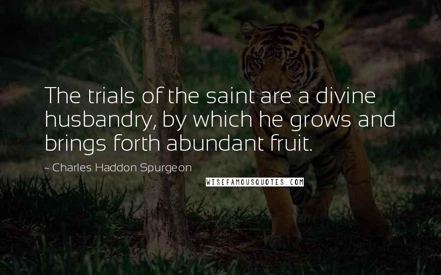 Charles Haddon Spurgeon Quotes: The trials of the saint are a divine husbandry, by which he grows and brings forth abundant fruit.