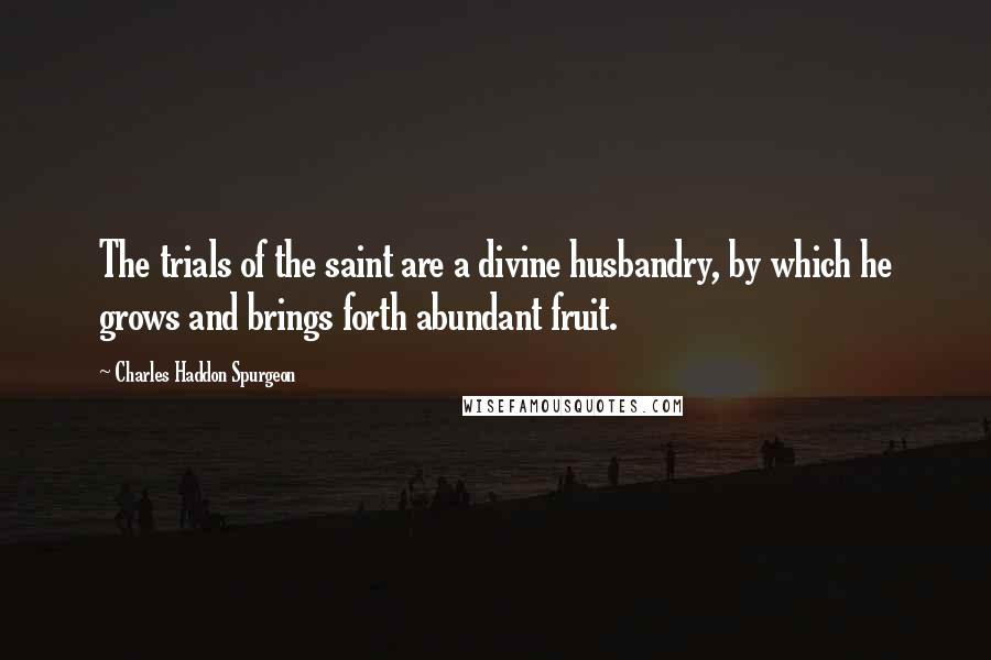 Charles Haddon Spurgeon Quotes: The trials of the saint are a divine husbandry, by which he grows and brings forth abundant fruit.