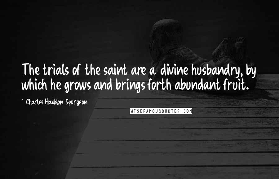 Charles Haddon Spurgeon Quotes: The trials of the saint are a divine husbandry, by which he grows and brings forth abundant fruit.