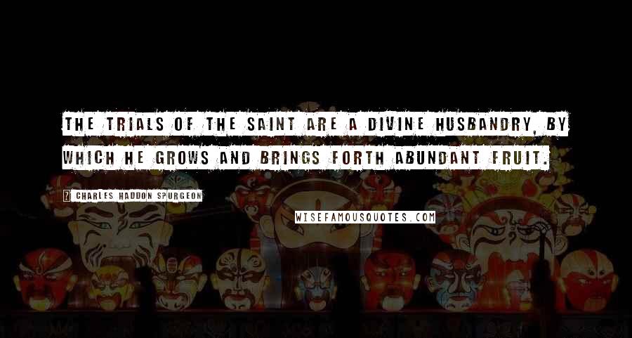 Charles Haddon Spurgeon Quotes: The trials of the saint are a divine husbandry, by which he grows and brings forth abundant fruit.