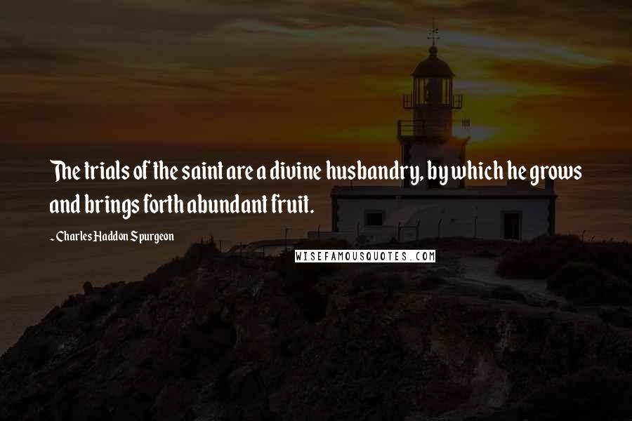 Charles Haddon Spurgeon Quotes: The trials of the saint are a divine husbandry, by which he grows and brings forth abundant fruit.