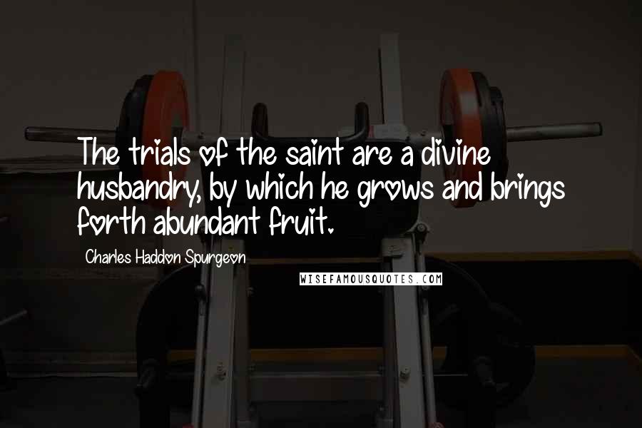 Charles Haddon Spurgeon Quotes: The trials of the saint are a divine husbandry, by which he grows and brings forth abundant fruit.
