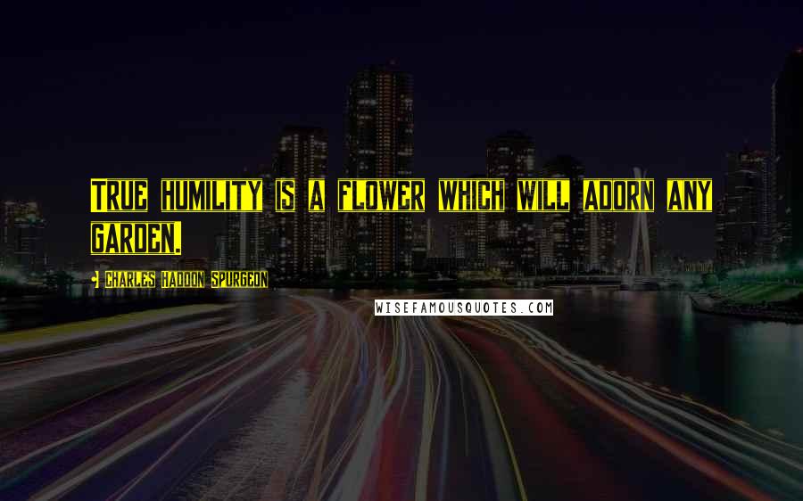 Charles Haddon Spurgeon Quotes: True humility is a flower which will adorn any garden.