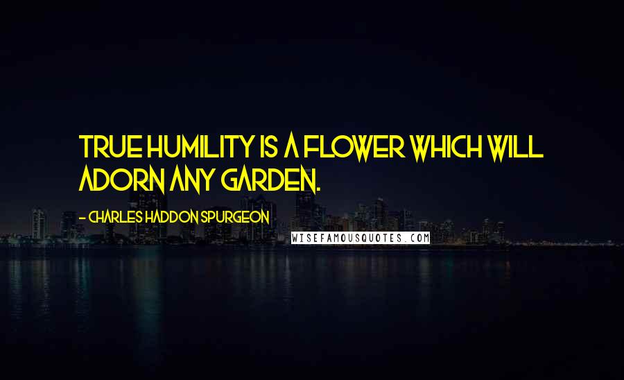 Charles Haddon Spurgeon Quotes: True humility is a flower which will adorn any garden.