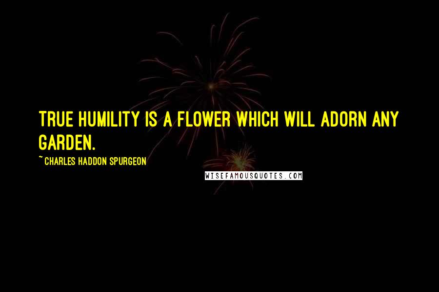 Charles Haddon Spurgeon Quotes: True humility is a flower which will adorn any garden.