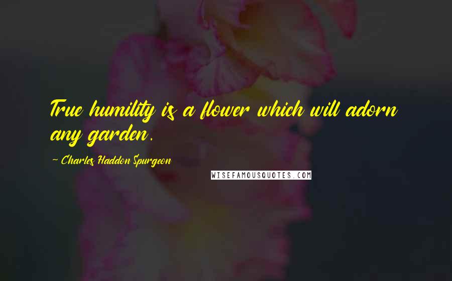 Charles Haddon Spurgeon Quotes: True humility is a flower which will adorn any garden.