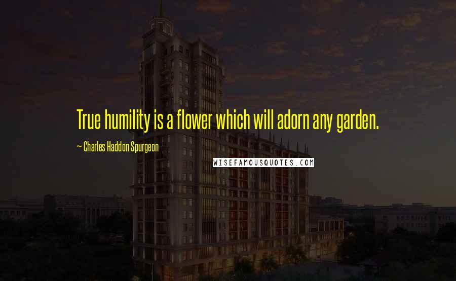 Charles Haddon Spurgeon Quotes: True humility is a flower which will adorn any garden.