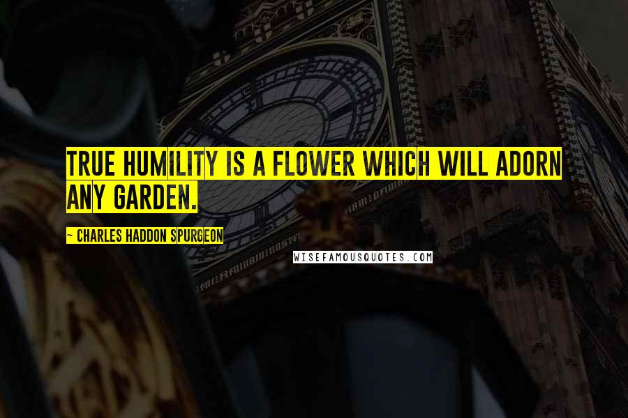 Charles Haddon Spurgeon Quotes: True humility is a flower which will adorn any garden.