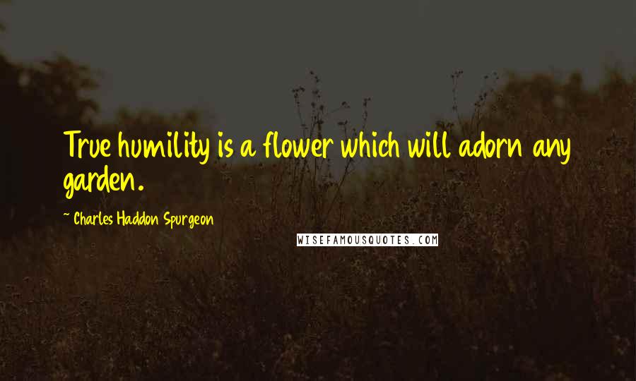 Charles Haddon Spurgeon Quotes: True humility is a flower which will adorn any garden.