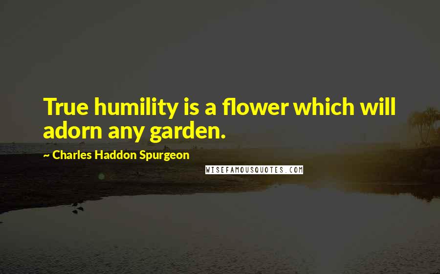 Charles Haddon Spurgeon Quotes: True humility is a flower which will adorn any garden.