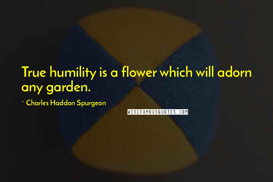 Charles Haddon Spurgeon Quotes: True humility is a flower which will adorn any garden.