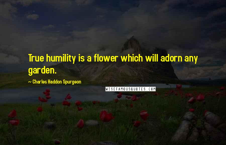 Charles Haddon Spurgeon Quotes: True humility is a flower which will adorn any garden.
