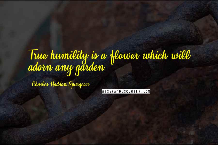 Charles Haddon Spurgeon Quotes: True humility is a flower which will adorn any garden.