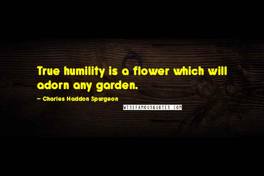 Charles Haddon Spurgeon Quotes: True humility is a flower which will adorn any garden.