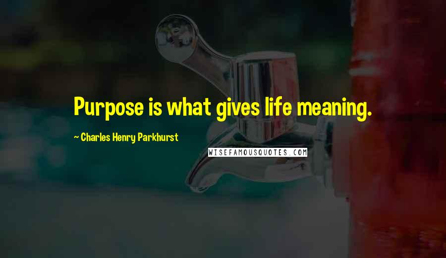 Charles Henry Parkhurst Quotes: Purpose is what gives life meaning.