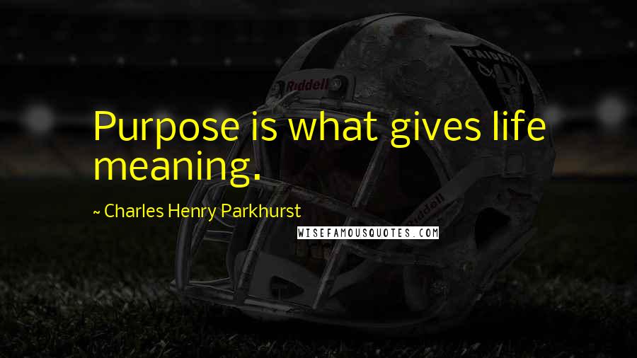 Charles Henry Parkhurst Quotes: Purpose is what gives life meaning.