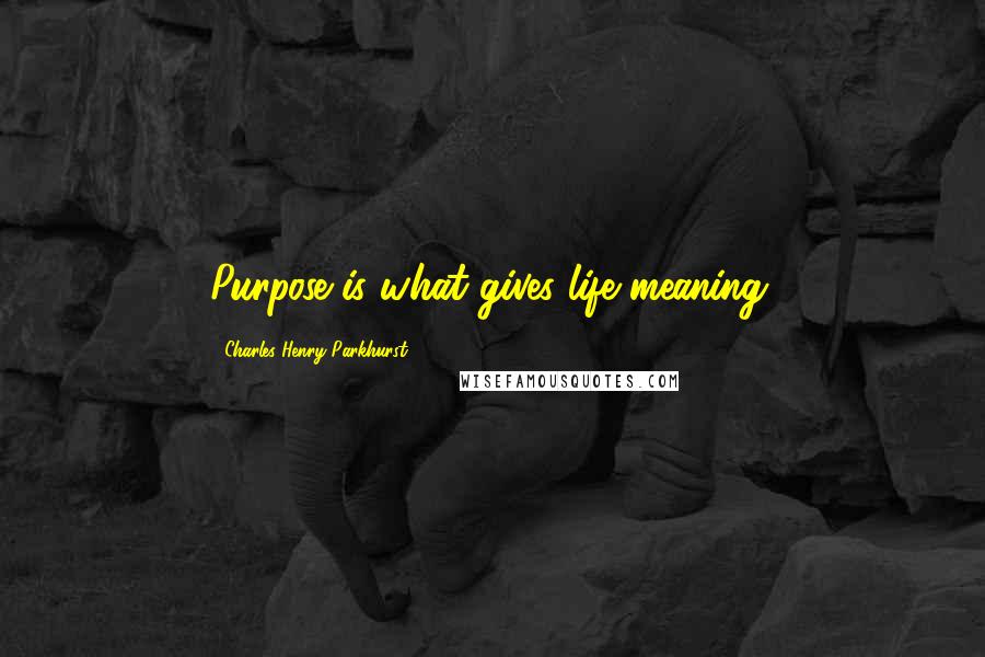 Charles Henry Parkhurst Quotes: Purpose is what gives life meaning.