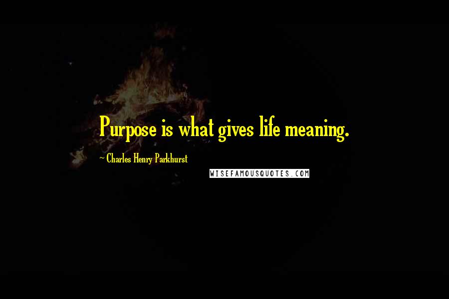 Charles Henry Parkhurst Quotes: Purpose is what gives life meaning.