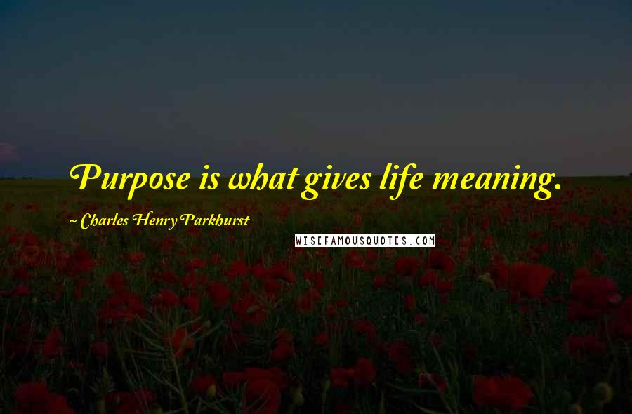 Charles Henry Parkhurst Quotes: Purpose is what gives life meaning.