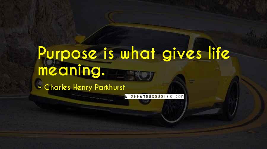 Charles Henry Parkhurst Quotes: Purpose is what gives life meaning.