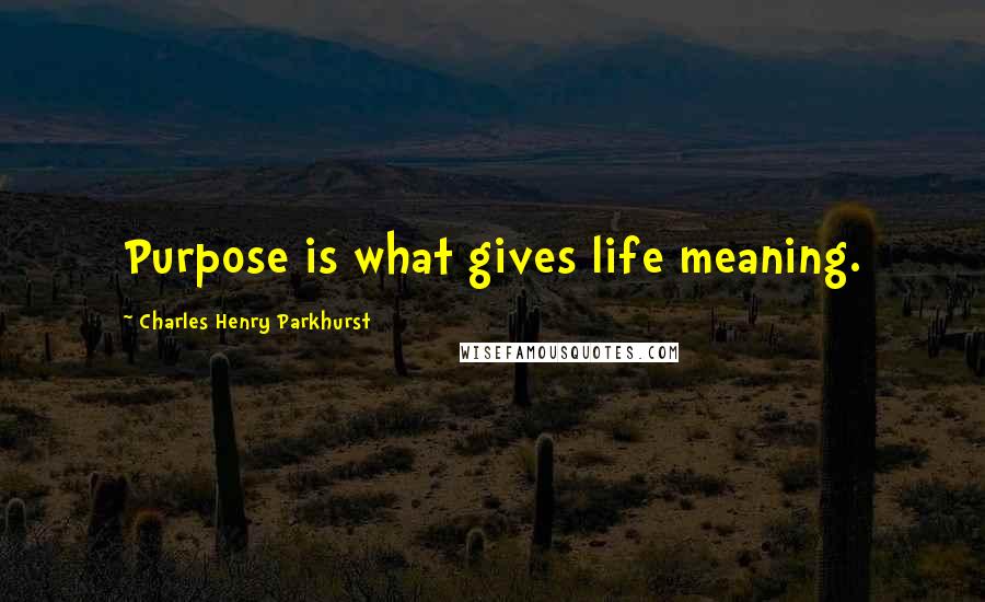 Charles Henry Parkhurst Quotes: Purpose is what gives life meaning.