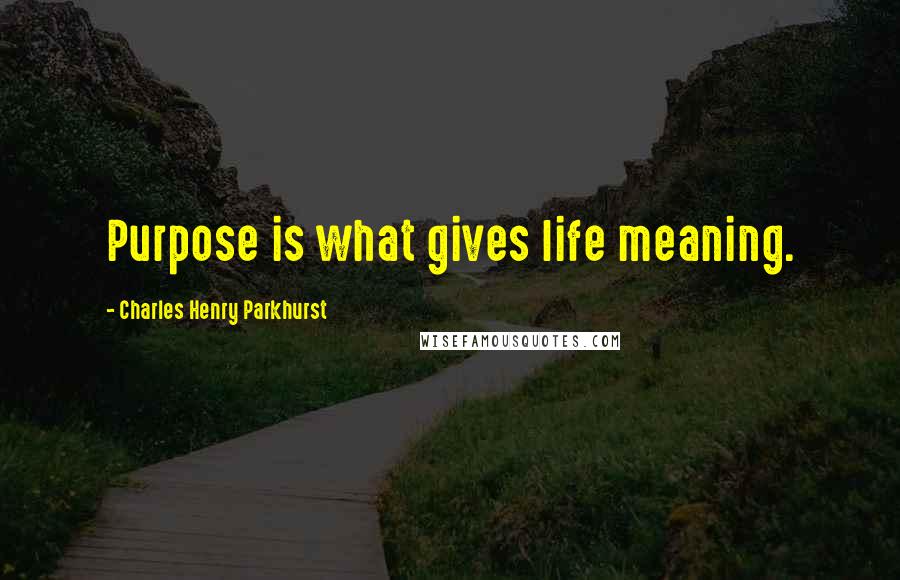Charles Henry Parkhurst Quotes: Purpose is what gives life meaning.