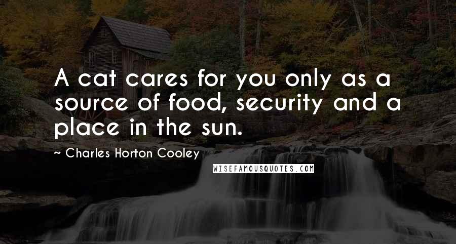 Charles Horton Cooley Quotes: A cat cares for you only as a source of food, security and a place in the sun.