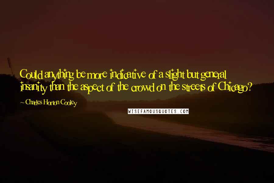 Charles Horton Cooley Quotes: Could anything be more indicative of a slight but general insanity than the aspect of the crowd on the streets of Chicago?