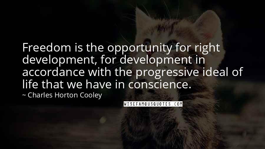 Charles Horton Cooley Quotes: Freedom is the opportunity for right development, for development in accordance with the progressive ideal of life that we have in conscience.