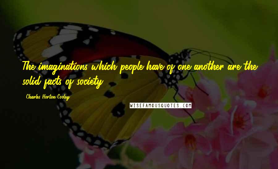 Charles Horton Cooley Quotes: The imaginations which people have of one another are the solid facts of society.