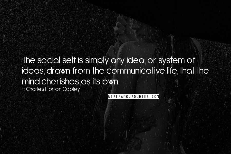 Charles Horton Cooley Quotes: The social self is simply any idea, or system of ideas, drawn from the communicative life, that the mind cherishes as its own.