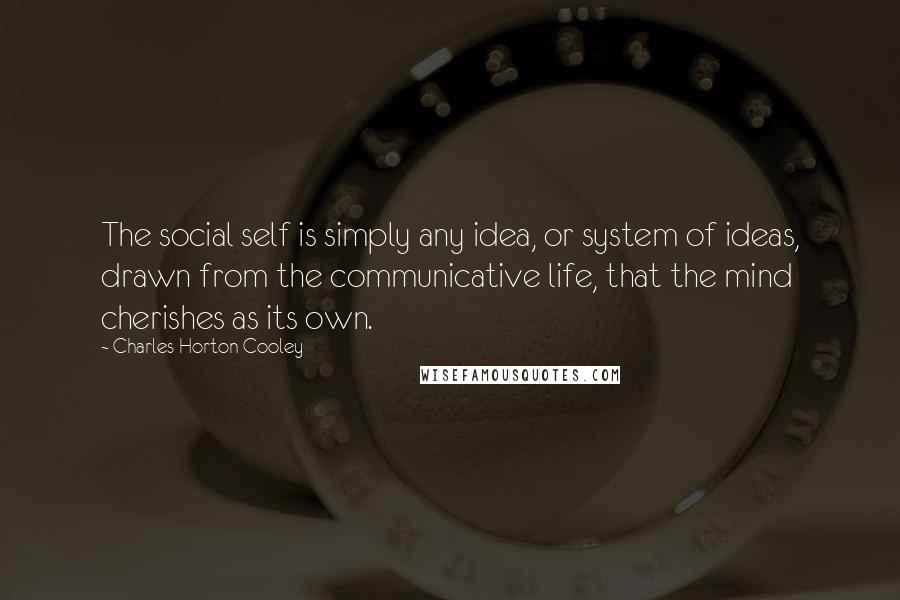 Charles Horton Cooley Quotes: The social self is simply any idea, or system of ideas, drawn from the communicative life, that the mind cherishes as its own.