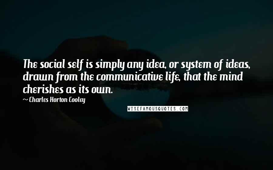 Charles Horton Cooley Quotes: The social self is simply any idea, or system of ideas, drawn from the communicative life, that the mind cherishes as its own.