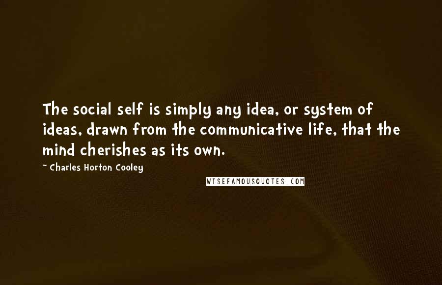 Charles Horton Cooley Quotes: The social self is simply any idea, or system of ideas, drawn from the communicative life, that the mind cherishes as its own.